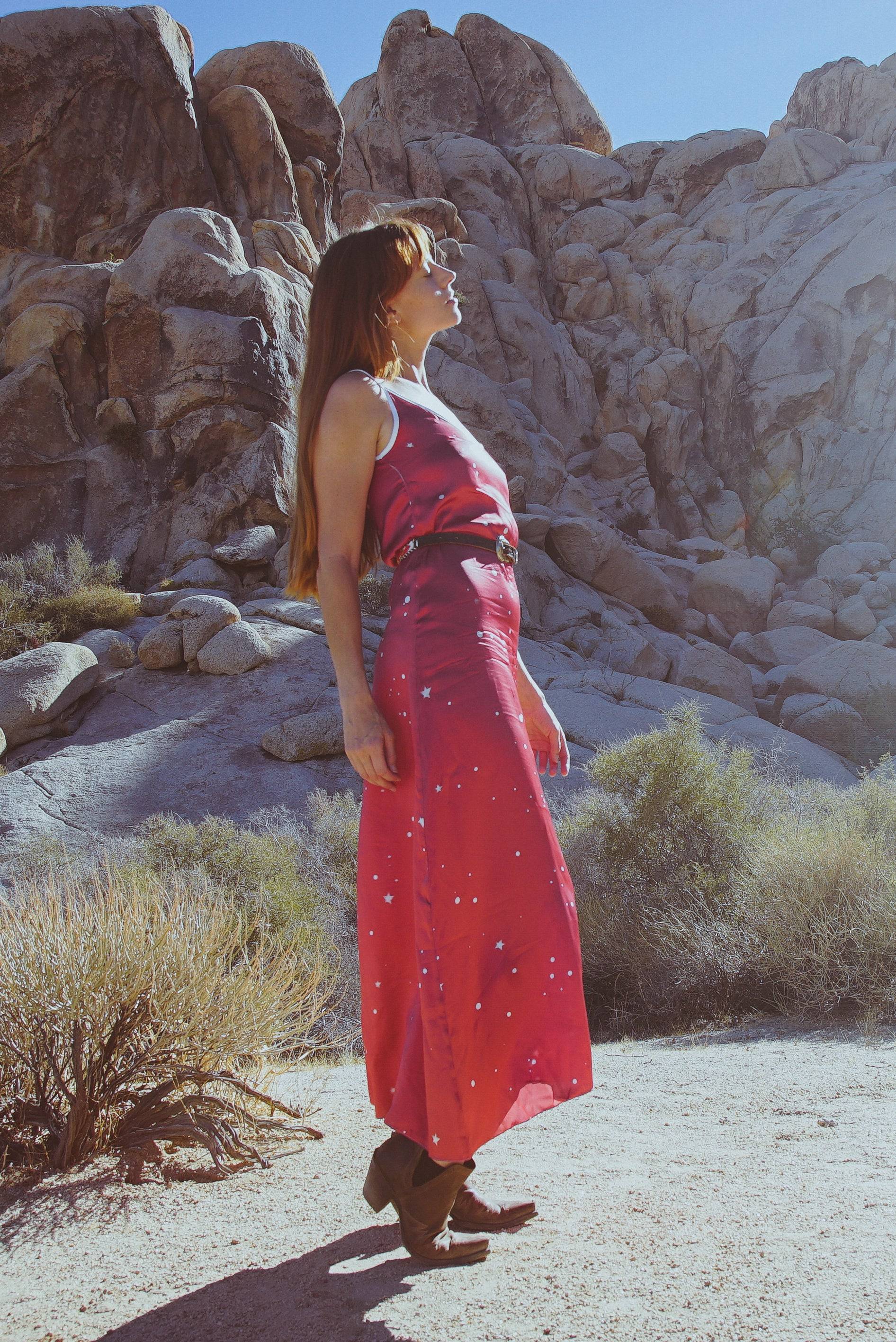 Andromeda Silk Slip Dress in Cosmic Crimson-4