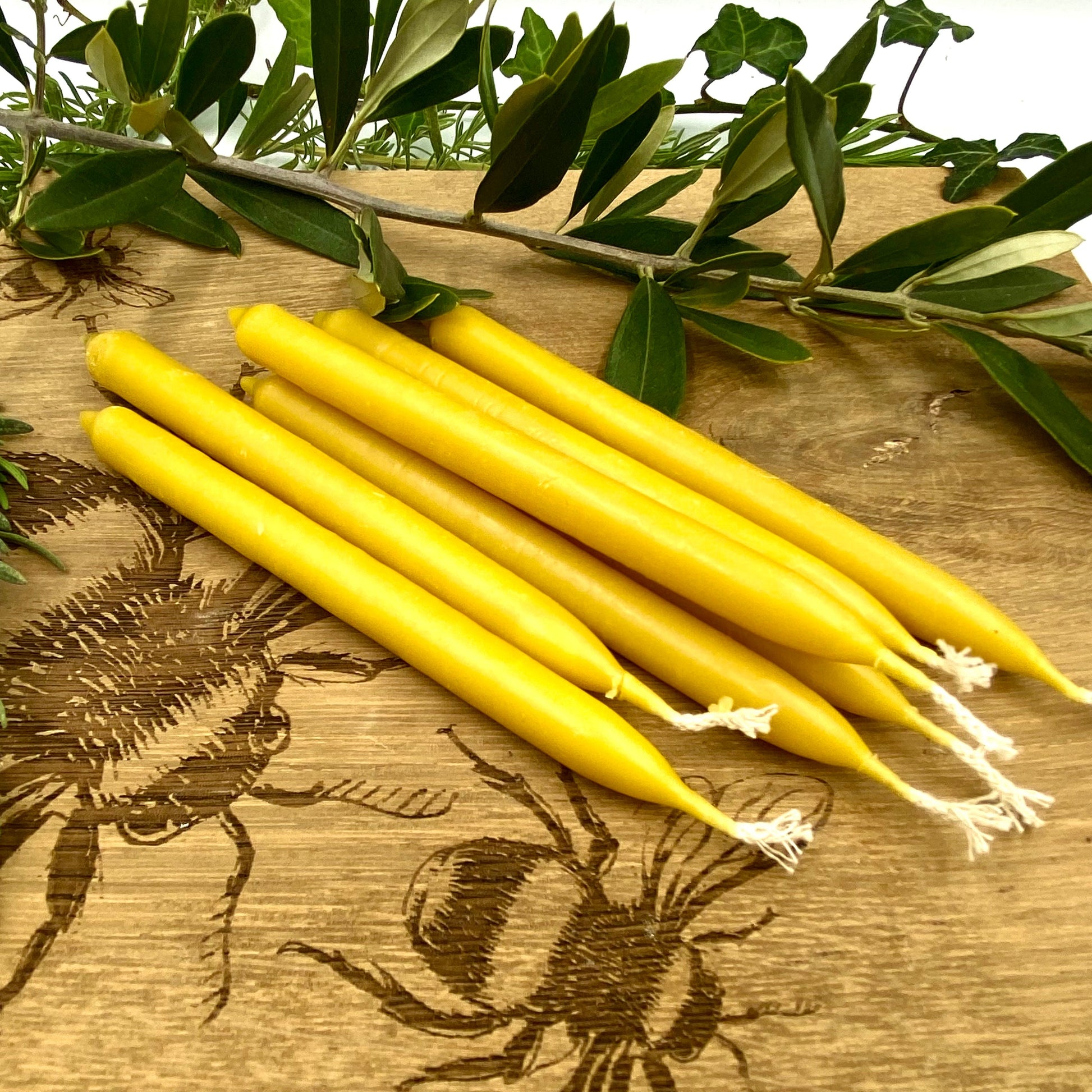 Beeswax Hand Dipped Taper Candles- various widths. Three size options-2