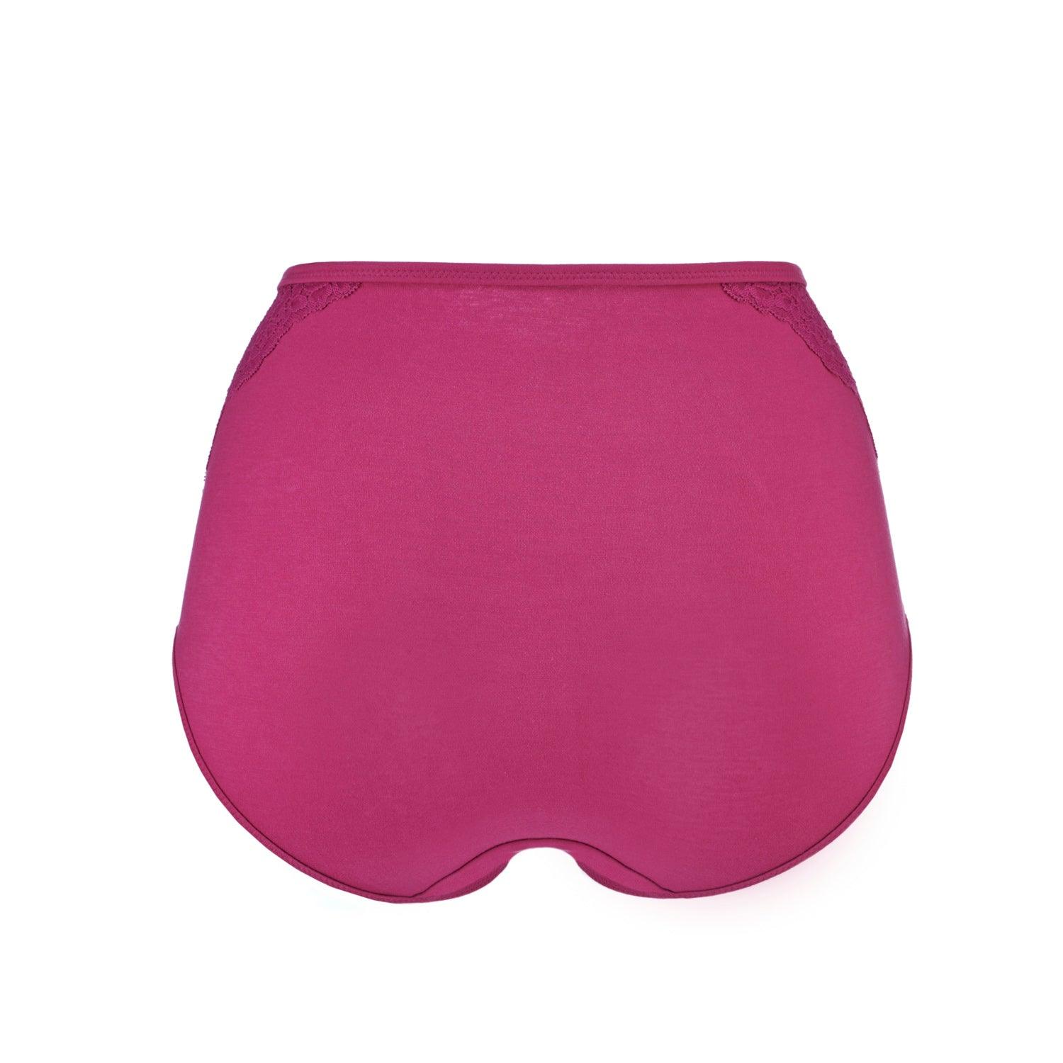 Fuchsia - High Waisted Silk & Organic Cotton Full Brief-1