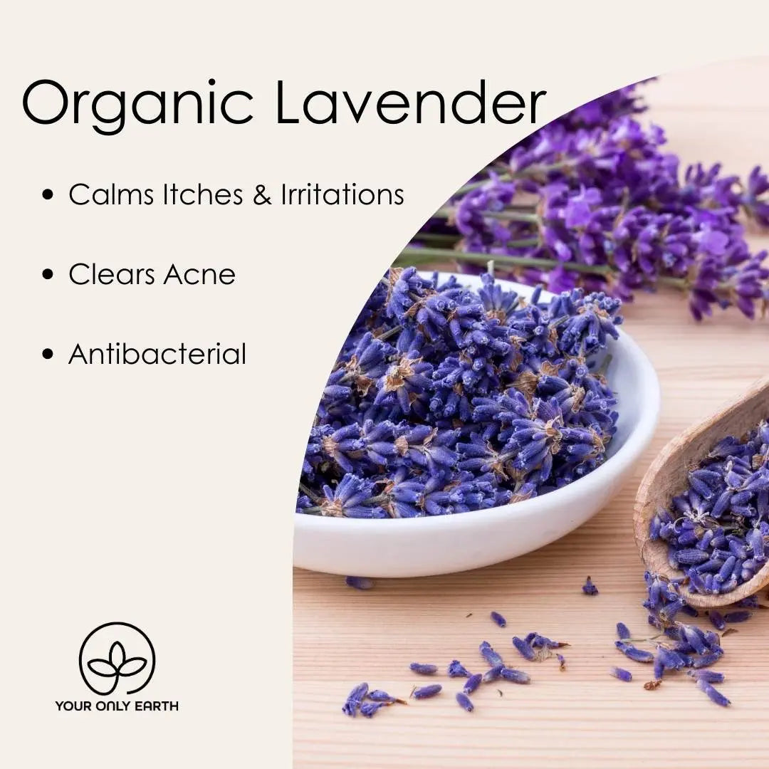 YOUR ONLY EARTH Lavender Balm