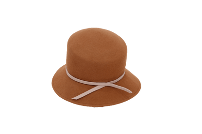 Cloche Brown Hat